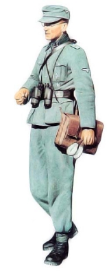 colonel des waffen SS