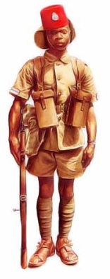 Arme belge, troupes coloniales en 1940