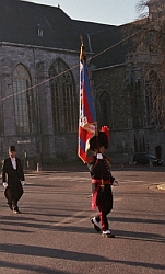 Drapeau de Vis