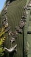 Collier au papegay des archers de St Symporien