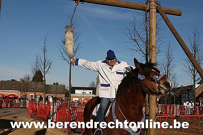 Dcapitation de l'oie  Berendrecht, Belgique