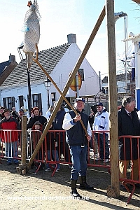 Dcapitation de l'oie  Berendrecht, Belgique
