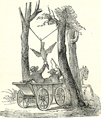 Gawstrekkers,enfants, Pays-Bas
